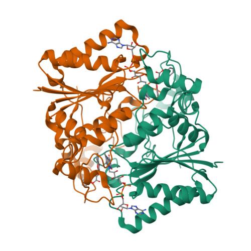 Rcsb Pdb 2f1o Crystal Structure Of Nqo1 With Dicoumarol