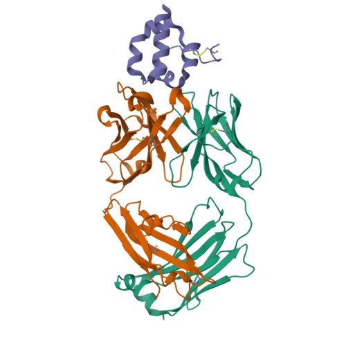 Rcsb Pdb 4f3f Crystal Structure Of Msln7 64 Morab 009 Fab Complex