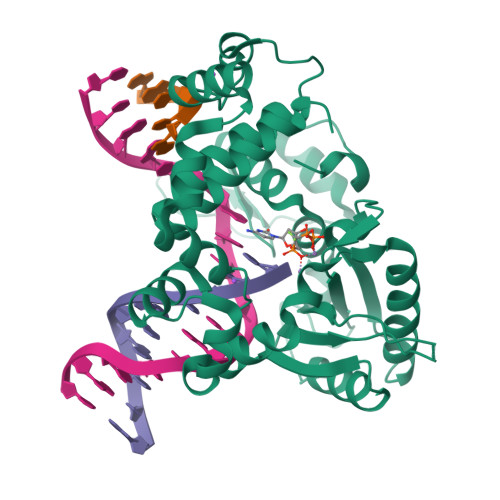 Rcsb Pdb 4f5q Closed Ternary Complex Of R283k Dna Polymerase Beta