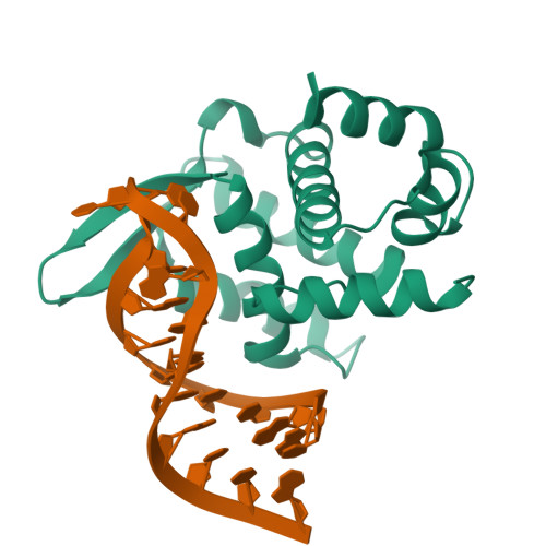 Rcsb Pdb 5f5f X Ray Structure Of Roquin Roq Domain In Complex With A Selex Derived Hexa Loop Rna Motif