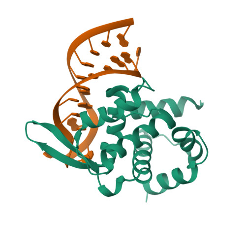 Rcsb Pdb 5f5f X Ray Structure Of Roquin Roq Domain In Complex With A Selex Derived Hexa Loop Rna Motif