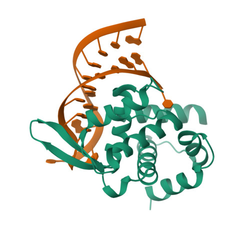 Rcsb Pdb 5f5f X Ray Structure Of Roquin Roq Domain In Complex With A Selex Derived Hexa Loop Rna Motif