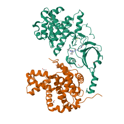 Rcsb Pdb 4f6u Crystal Structure Of Human Cdk8 Cycc In Complex With Compound 5 1 3 Tert Butyl 1 4 Methylphenyl 1h Pyrazol 5 Yl 3 3 Morpholin 4 Yl Propyl Urea