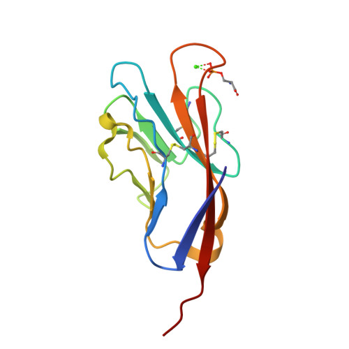 Rcsb Pdb 5f7h Human T Cell Immunoglobulin And Mucin Domain Protein 4 Htim 4 Complex With Phosphoserine