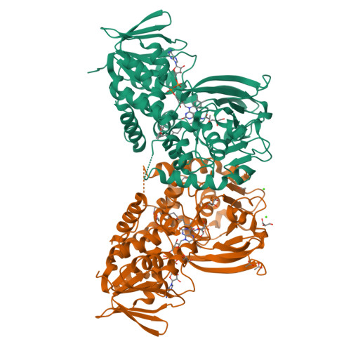 Rcsb Pdb 6f7l Crystal Structure Of Lkce R326q Mutant In Complex With Its Substrate