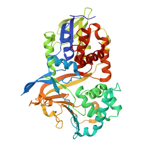 Rcsb Pdb 6f7l Crystal Structure Of Lkce R326q Mutant In Complex With Its Substrate