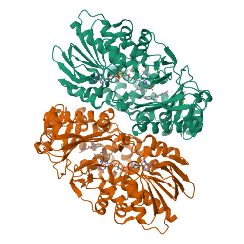 Rcsb Pdb 1f8s Crystal Structure Of L Amino Acid Oxidase From Calloselasma Rhodostoma Complexed With Three Molecules Of O Aminobenzoate