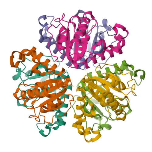 Rcsb Pdb 1f8x Crystal Structure Of Nucleoside 2 Deoxyribosyltransferase