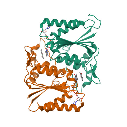 Rcsb Pdb 4f8y Complex Structure Of Nadph Quinone Oxidoreductase With Menadione In Streptococcus Mutans