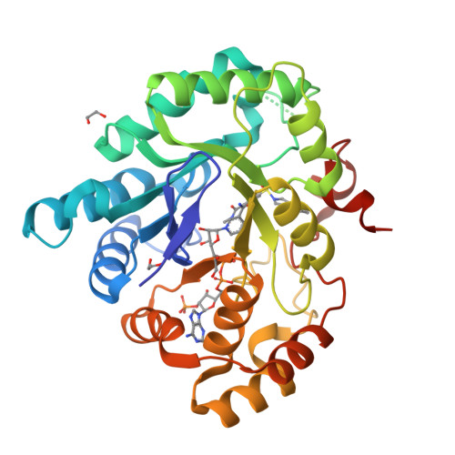 Rcsb Pdb 4fal Crystal Structure Of Human 17beta Hydroxysteroid Dehydrogenase Type 5 In Complex With 3 3 4 Dihydroisoquinolin 2 1h Yl Sulfonyl N Methylbenzamide 80