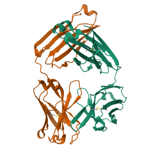 Rcsb Pdb 8fab Crystal Structure Of The Fab Fragment From The Human Myeloma Immunoglobulin Igg Hil At 1 8 Angstroms Resolution