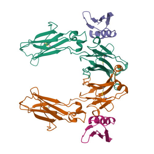 Rcsb Pdb 1fcc Crystal Structure Of The C2 Fragment Of Streptococcal Protein G In Complex With The Fc Domain Of Human Igg