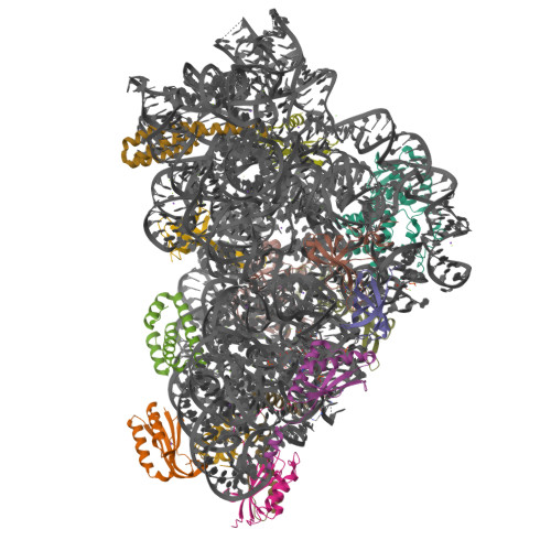 9FDA assembly