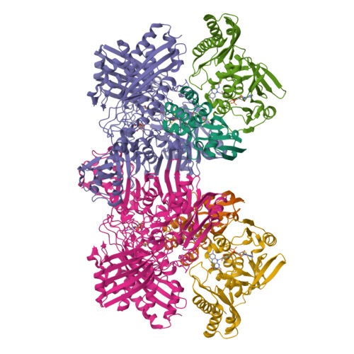Rcsb Pdb 1ffu Carbon Monoxide Dehydrogenase From Hydrogenophaga Pseudoflava Which Lacks The Mo Pyranopterin Moiety Of The Molybdenum Cofactor