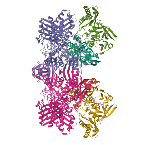 Rcsb Pdb 1ffv Carbon Monoxide Dehydrogenase From Hydrogenophaga Pseudoflava