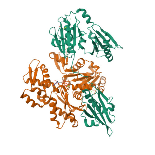 Rcsb Pdb 3ffk Crystal Structure Of Human Gelsolin Domains G1 G3 Bound To Actin