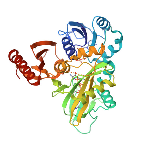 Rcsb Pdb 4ffo Pylc In Complex With Phosphorylated D Ornithine