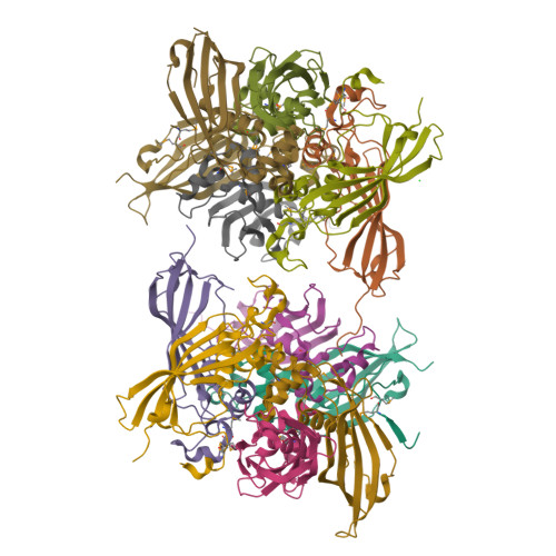 Rcsb Pdb 4ffu Crystal Structure Of Putative Maoc Like Monoamine Oxidase Like Protein Similar To Nodn From Sinorhizo Bium Meliloti 1021