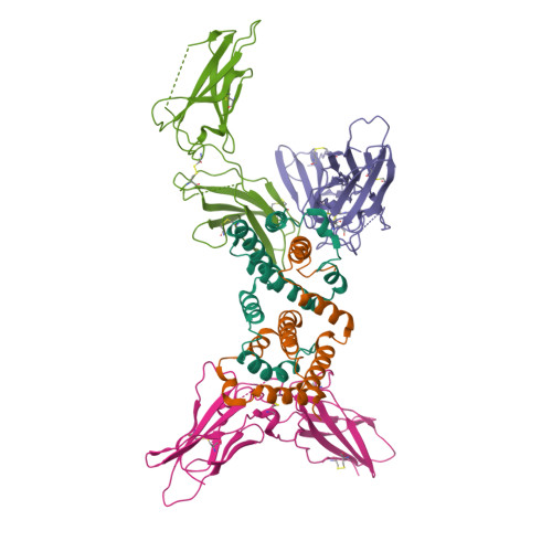 Rcsb Pdb 1fg9 3 1 Complex Of Interferon Gamma Receptor With Interferon Gamma Dimer