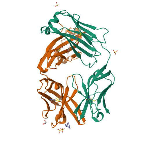 Rcsb Pdb 5fgb Three Dimensional Structure Of Broadly Neutralizing Human Anti Hepatitis C Virus Hcv Glycoprotein E2 Fab Fragment Hc33 4