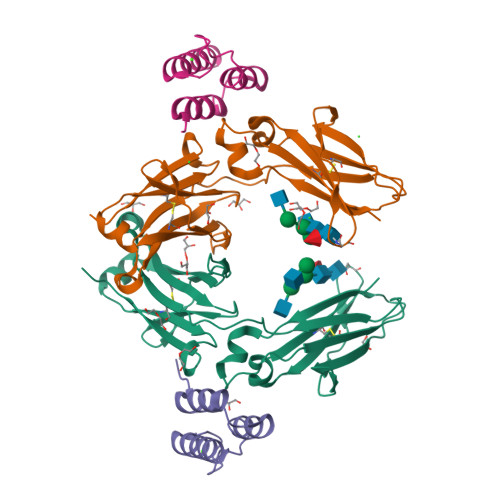 Rcsb Pdb 6fgo Fc In Complex With Engineered Calcium Binding Domain Z