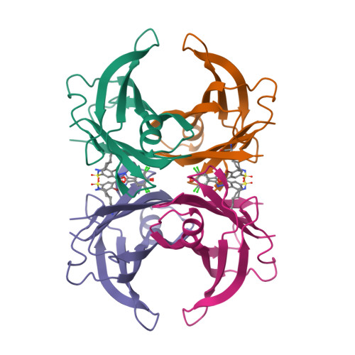 Rcsb Pdb 4fi8 Kinetic Stabilization Of Transthyretin Through Covalent Modification Of K15 By 4 Bromo 3 5 3 5 Dichloro 4 Hydroxyphenyl 1 3 4 Oxadiazol 2 Yl Benzenesulfonamide