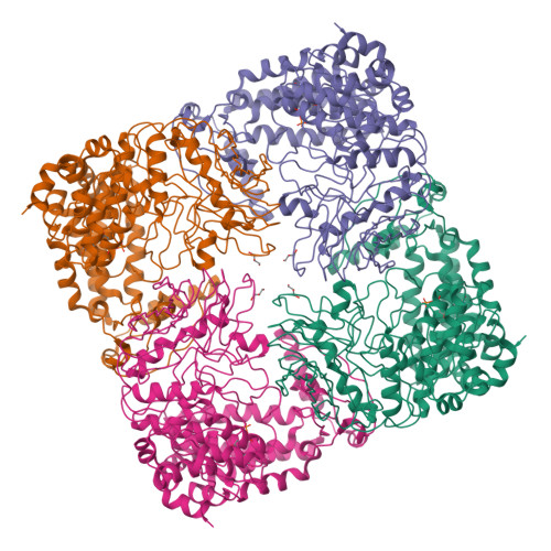 Rcsb Pdb 4fiy Crystal Structure Of Glft2 Complexed With Udp