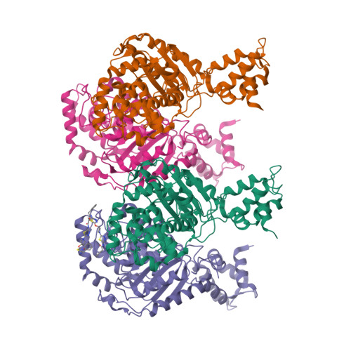 Rcsb Pdb 5fi7 Crystal Structure Of Human Gac In Complex With Inhibitor Upgl 2 Phenyl N 5 3 S 3 5 2 Phenylethanoylamino 1 3 4 Thiadiazol 2 Yl Oxy Pyrrolidin 1 Yl 1 3 4 Thiadiazol 2 Yl Ethanamide