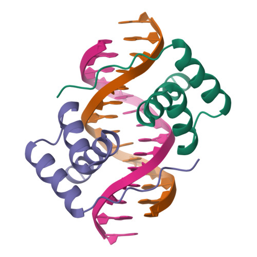 Rcsb Pdb 1fjl Homeodomain From The Drosophila Paired Protein Bound To A Dna Oligonucleotide