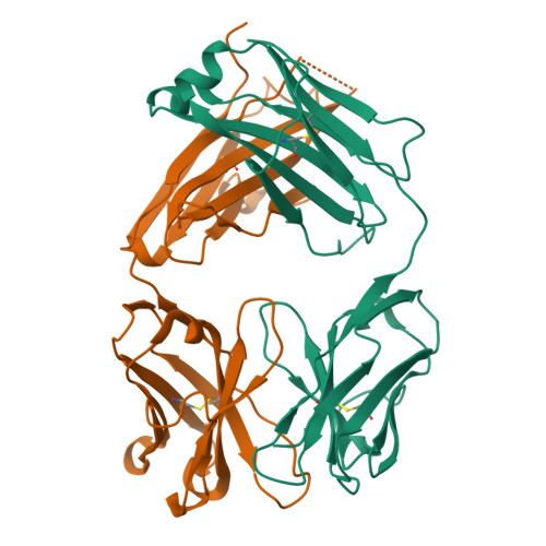 Rcsb Pdb 2fjf Structure Of The G6 Fab A Phage Derived Vegf Binding Fab