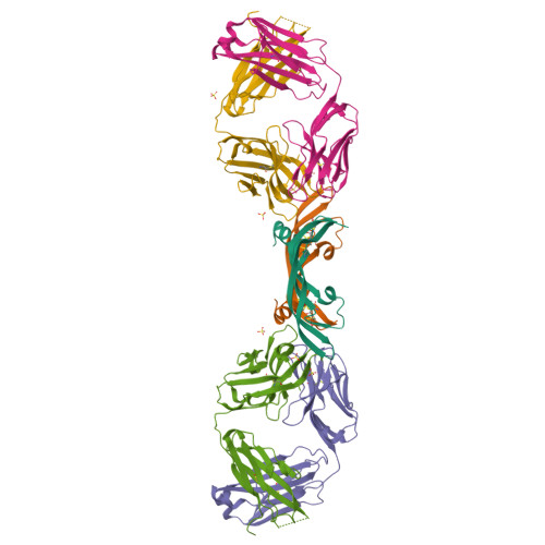 Rcsb Pdb 2fjg Structure Of The G6 Fab A Phage Derived Fab Fragment In Complex With Vegf