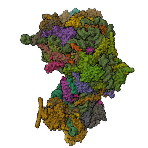 8FKR assembly