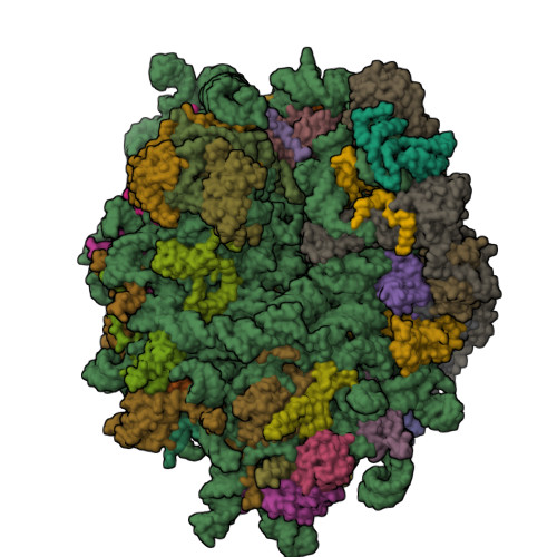 8FL9 assembly