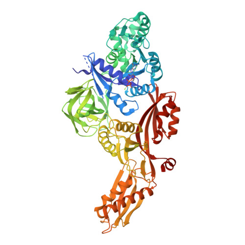 Rcsb Pdb 1fnm Structure Of Thermus Thermophilus Ef G H573a