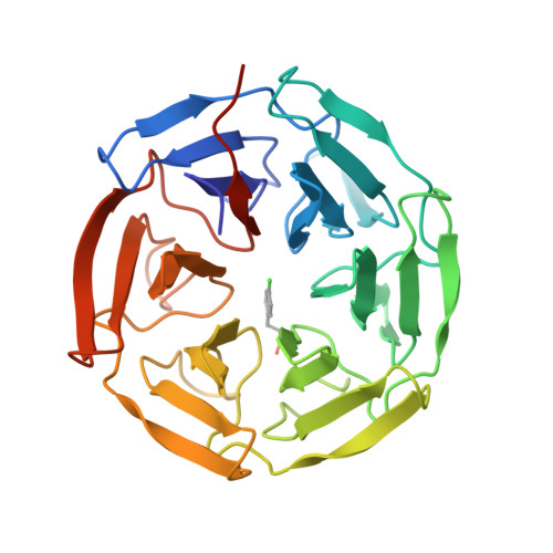 Rcsb Pdb 5fnq Structure Of The Keap1 Kelch Domain In Complex With A Small Molecule Inhibitor