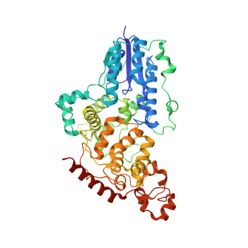 Rcsb Pdb 6fn2 X Ray Structure Of Animal Like Cryptochrome From Chlamydomonas Reinhardtii