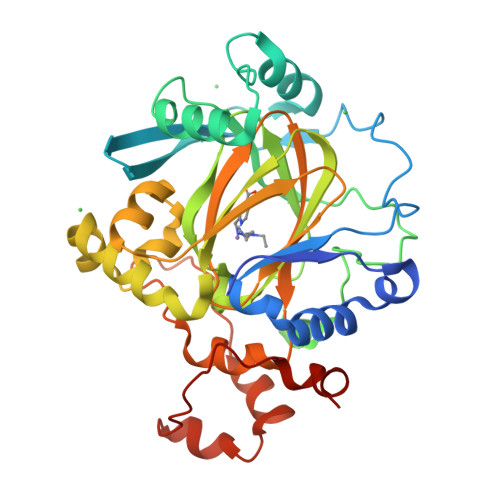 Rcsb Pdb 5fpv Crystal Structure Of Human Jmjd2a In Complex With Compound Kdoam20a