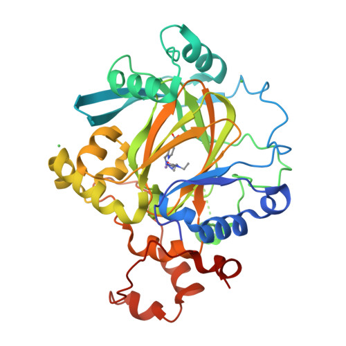 Rcsb Pdb 5fpv Crystal Structure Of Human Jmjd2a In Complex With Compound Kdoam20a