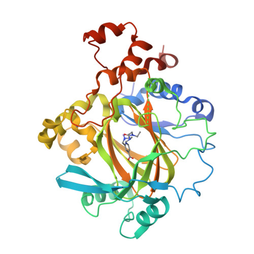 Rcsb Pdb 5fpv Crystal Structure Of Human Jmjd2a In Complex With Compound Kdoam20a