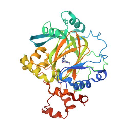 Rcsb Pdb 5fpv Crystal Structure Of Human Jmjd2a In Complex With Compound Kdoam20a