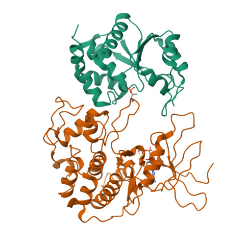 Rcsb Pdb 1fq1 Crystal Structure Of Kinase Associated Phosphatase Kap In Complex With Phospho Cdk2