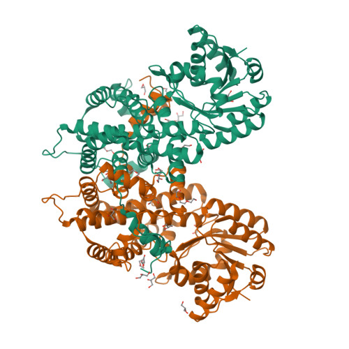 Rcsb Pdb 6fqz Plasmodium Falciparum 6 Phosphogluconate Dehydrogenase In Its Apo Form In Complex With Its Cofactor Nadp And In Complex With Its Substrate 6 Phosphogluconate