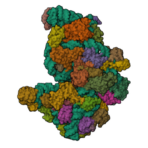 9FRK assembly