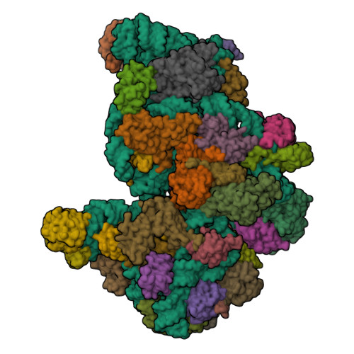 9FRL assembly