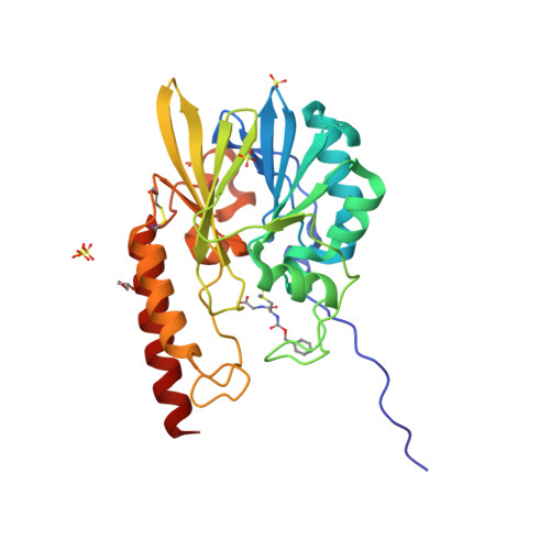 Rcsb Pdb 2fu9 Zinc Beta Lactamase L1 From Stenotrophomonas Maltophilia Mp2 Inhibitor Complex