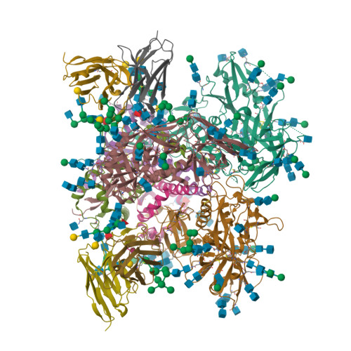 Rcsb Pdb 5fuu Ectodomain Of Cleaved Wild Type Jr Fl Envdct Trimer In Complex With Pgt151 Fab