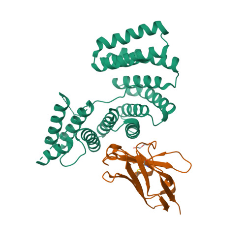 Rcsb Pdb 6fv0 Crystal Structure Of The Tpr Domain Of Klc1 In Complex With The C Terminal Peptide Of Torsina