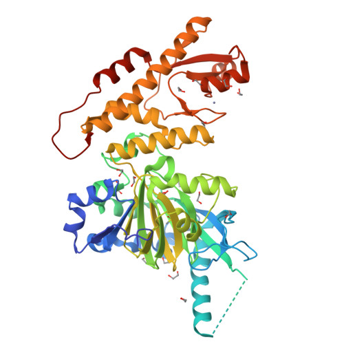 Rcsb Pdb 5fy1 Crystal Structure Of Jmjc Domain Of Human Histone Demethylase Uty In Complex With N08619b