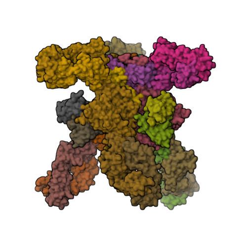 Rcsb Pdb 5fyk Crystal Structure At 3 7 A Resolution Of Fully Glycosylated Hiv 1 Clade B Jr Fl Sosip 664 Prefusion Env Trimer In Complex With Broadly Neutralizing Antibodies Pgt122 35o22 And Vrc01