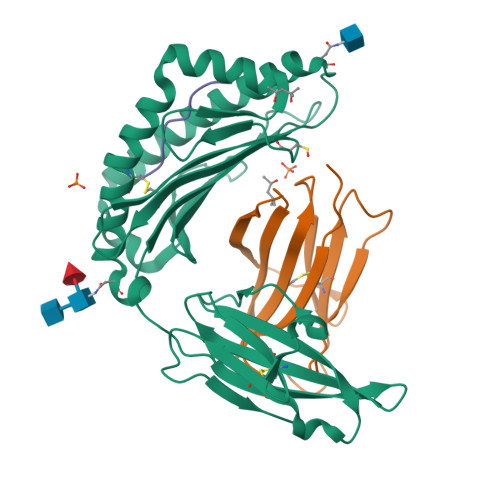 Rcsb Pdb 1fzj Mhc Class I Natural Mutant H 2kbm1 Heavy Chain Complexed With Beta 2 Microglobulin And Vesicular Stomatitis Virus Nucleoprotein